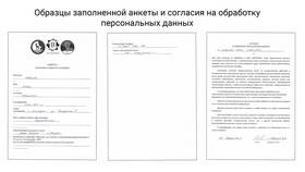 Что такое подать заявку в МегаФон