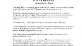 Что значит подать на развод в МегаФон