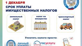 Как оплатить пример в МегаФон