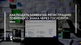 Как подать предложение через Госуслуги в МегаФон