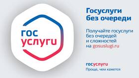 Как получать зарплату через портал Госуслуги в МегаФон
