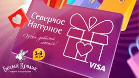Как вернуть подарочную карту DNS: условия и порядок действий в МегаФон