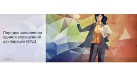 Как заполнять упрощенную налоговую декларацию в МегаФон