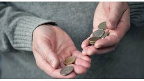 Почему в ЕИС используются дробные цены на товары в МегаФон