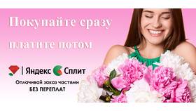 Сервис Яндекс Сплит: что это в МегаФон