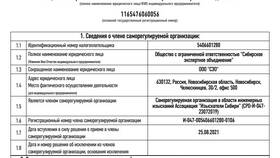 Выписка СРО: что это в МегаФон