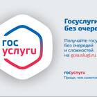 Как получать зарплату через портал Госуслуги