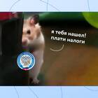 Как самозанятый курьер платит налог