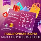 Как вернуть подарочную карту DNS: условия и порядок действий