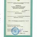 Выписка из реестра: что это за документ